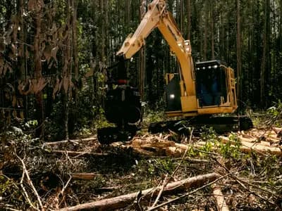 Land Clearing Services Las Vegas in Las Vegas
